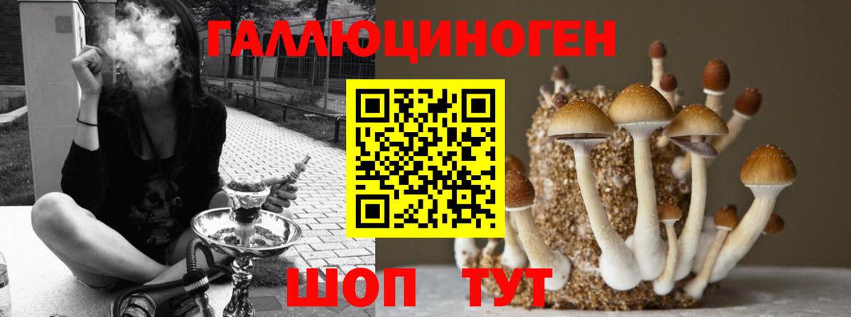 Псилоцибиновые грибы GOLDEN TEACHER Уфа
